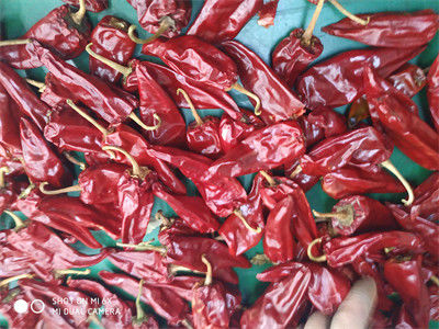 5000 vainas rojas secadas A de Chile del grado de SHU Mild Dried Chilies Stemmed