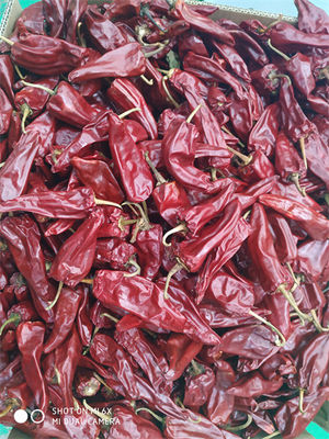 La nueva cosecha Yidu secó la certificación de Chili With Stem HACCP