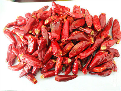 En la vitamina C de la pimienta roja de Jinta Chilli