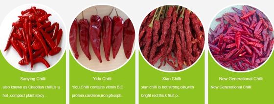 2% Máxima tasa de rotura Chilli de bala roja seca en el aire con muestra y carga recogida