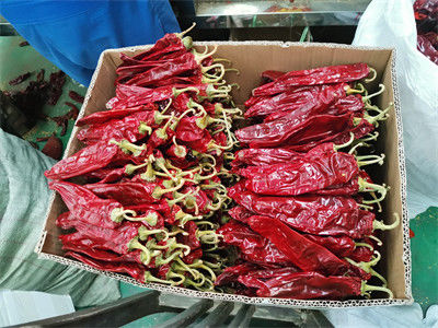 Paprika roja seca, pimientos, especias y condimentos en polvo para la empresa de ingredientes alimentarios
