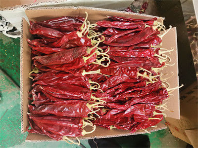 Paprika de cultivo chino de alta calidad con tallo, paprika dulce con tallo/sin tallo, chile rojo seco