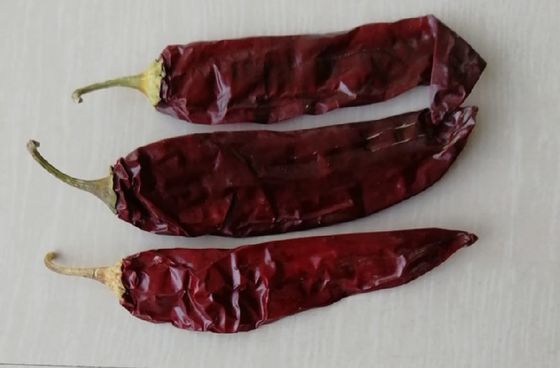 Paprika roja seca, pimientos, especias y condimentos en polvo para la empresa de ingredientes alimentarios