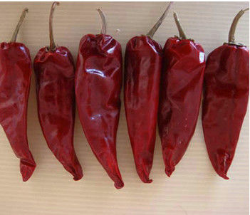 100 g de chiles rojos redondos naturales de Tianjin