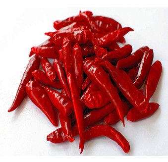 Chiles rojos de Tianjin de la humedad del 8% ningún chino secado crudo Chilis del añadido