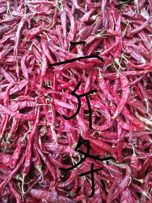 Chilis secado Erjingtiao sin pie esterilizó los chiles enteros acres