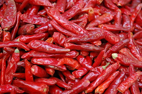 Sanying que deshidrata los pimientos picantes Mala Dried Whole Chillies KOSHER