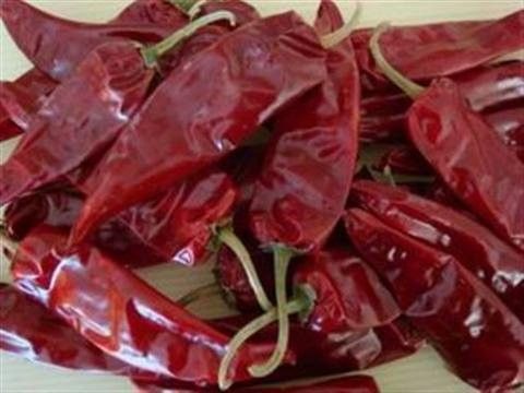 Yidu secó Chile rojo sazona las vainas del condimento con pimienta los 9CM Chile de la comida para Pozole