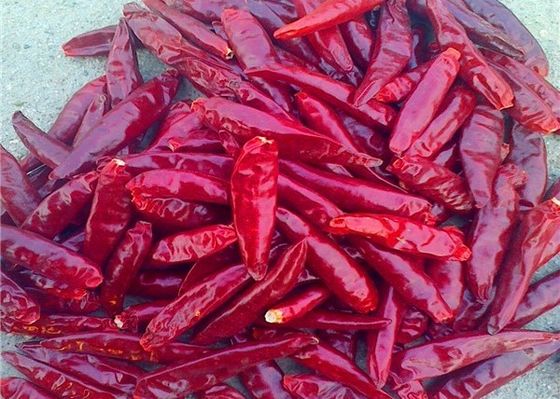 Sanying que deshidrata los pimientos picantes Mala Dried Whole Chillies KOSHER