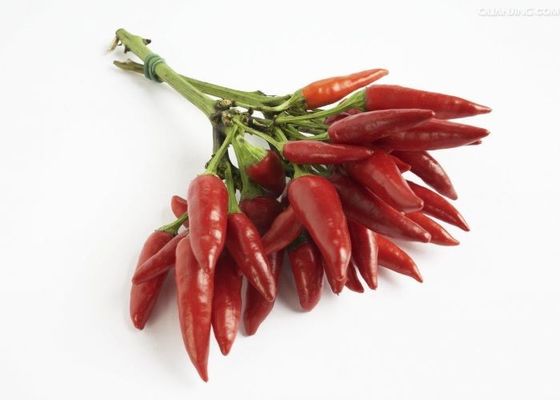 Los chiles calientes del pote de Chaotian deshidrataron a Chili Peppers rojo secado conjunto