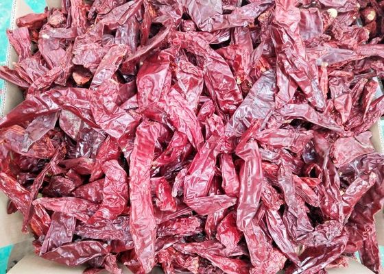HACCP secó los chiles de deshidratación dulces de la humedad de Paprika Peppers el 16%