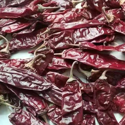 240 ASTA Sweet Paprika Pepper Seedless secaron los chiles rojos enteros NINGÚN pigmento