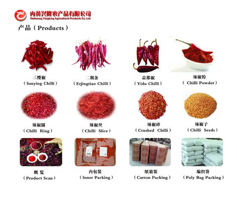 Chiles secos enteros sin semillas Chaotian Sichuan que hace frente a los chiles del cielo