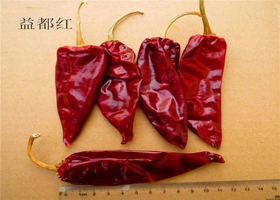 Chiles rojos largos secados sin pie 3000 SHU Red Chili Pods KOSHER