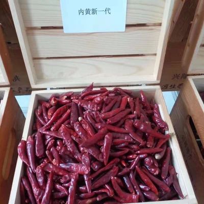 El chino secó a Chili Peppers Chaotian Szechuan Dried rojo Chili Zero Additive
