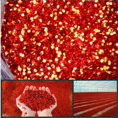 El chile machacado deshidratado sazona la malla roja de 5m m con pimienta Chili Flakes 8