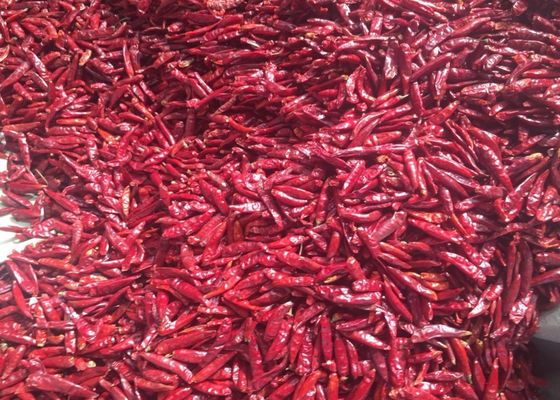 Chaotian secó la pimienta de chiles esterilizó los chiles secados enteros 20Kg
