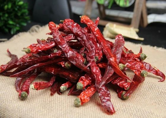 Vainas rojas de SHU10000 Xian Chilli Pungent Flavor Dried Chile 10 PPB