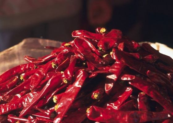 8000-12000shu Pimienta Erjingtiao caliente con almacenamiento en lugar seco