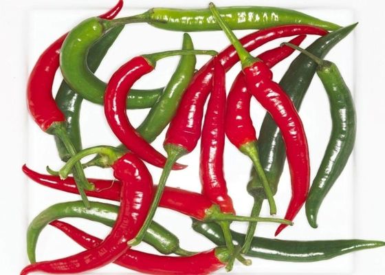 Erjingtiao seca al aire Chilis secos sin tallo y llenos de chiles