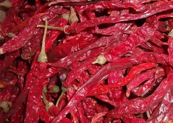 Pimientos rojos secos enteros con ingredientes sin tallo añaden un poco de especias a sus comidas
