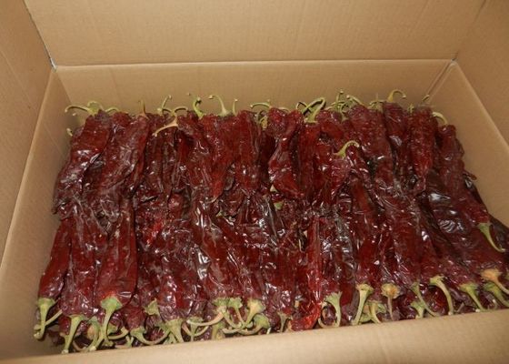 Forma de palo Cereza Rojo Guajillo Chilis Grado A 10-15 cm Tamaño