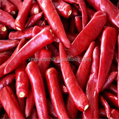 Los adobos utilizan las pimientas rojas secadas al sol secadas del chile los 7cm de Guajillo no picantes