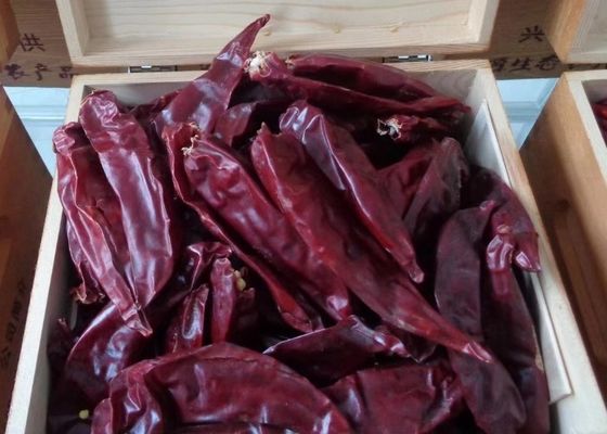 Los adobos utilizan las pimientas rojas secadas al sol secadas del chile los 7cm de Guajillo no picantes