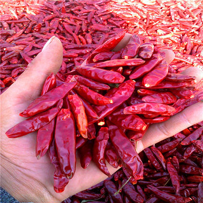 Tientsin secó las pimientas de chiles rojos 15000 SHU Dehydrated Spicy Red Paprika