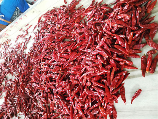 Chilis rojos enteros secos nutritivos picantes y ricos en vitamina C