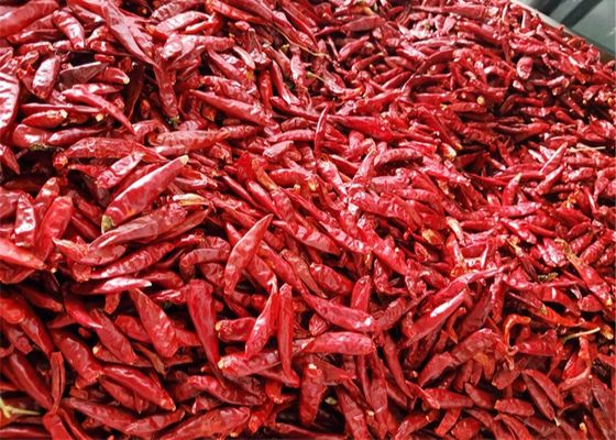 Chaotian secó los chiles rojos sazona los chiles secos enteros acres amarillentos del 1% con pimienta