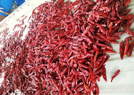 Chaotian secó los chiles rojos sazona los chiles secos enteros acres amarillentos del 1% con pimienta