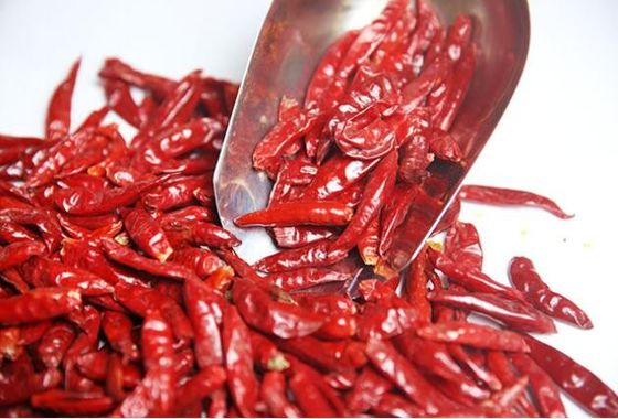Pimientos rojos de Tianjin, picantes y sabrosos.