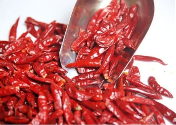 Chiles rojos culinarios de Tianjin Chili Peppers candente secado grado