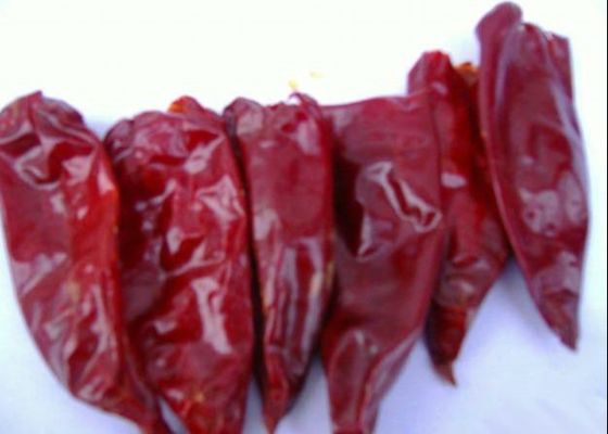 Chiles rojos secos largos crudos 2000 de Yidu Chili Zero Additive Scoville