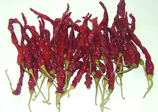 Xian Chilli secado al sol que SHU8000 secó los chiles rojos sazona la humedad del 8% con pimienta