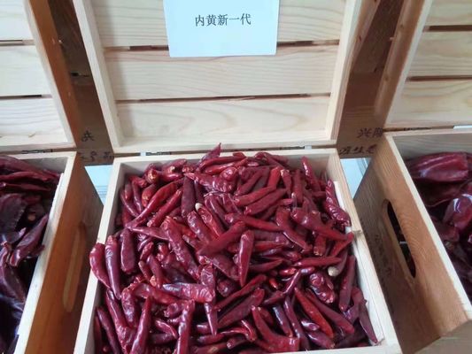 Los 7CM secaron los chiles rojos largos 50000 SHU Dehydrated Tianjin Chili ISO