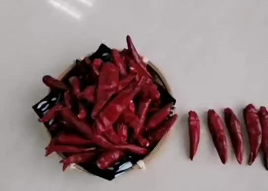 Chiles rojos de los 7CM Tianjin
