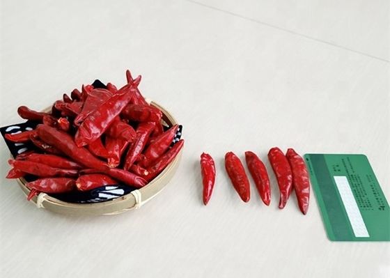 Cero pequeñas pimientas superiores secadas rojas de los chiles 10KG Tianjin de la adición