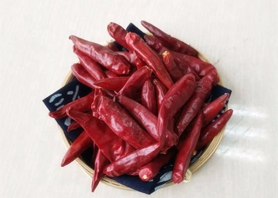 25000 chiles de SHU Dried Red Chile Peppers Tianjin deshidrataron las especias