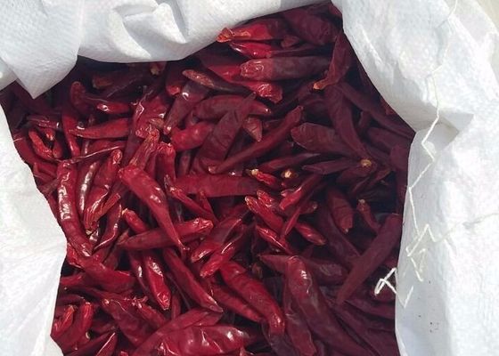 Pequeños chiles rojos picantes ricos en vitamina C nutritivos y deliciosos