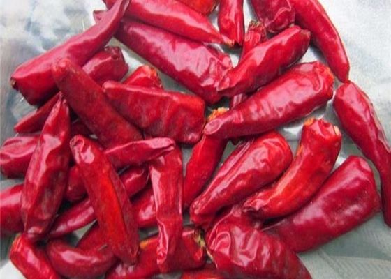 Ingredientes de chilli de cultivo almacenar en un lugar fresco y seco