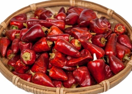 Los chiles rojos sin pie de la bala deshidrataron 25000 SHU Dried Spicy Peppers