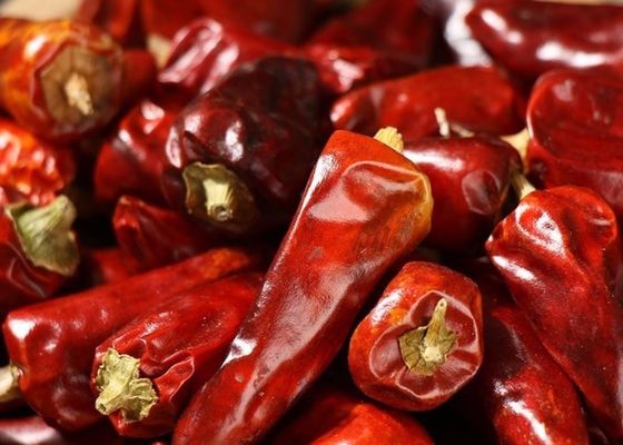Los chiles rojos sin pie de la bala deshidrataron 25000 SHU Dried Spicy Peppers