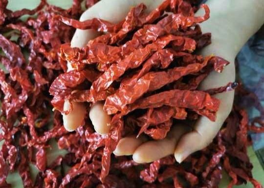 Pimientas rojas secadas al sol picantes 10000SHU de Xian Chilli el 15CM de la fragancia