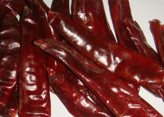 La comida mexicana secó el chile 5000 SHU Dried Red Peppers Paprika de Guajillo
