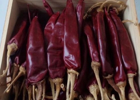 Chiles secos suaves de 7-19 cm para hierbas únicas especias embalaje sellado al vacío