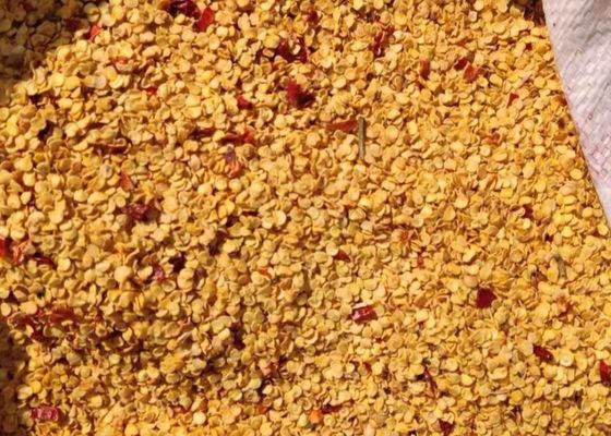 El gránulo secó los chiles siembra 10PPB 15000 SHU Spicy Pepper Seeds HACCP