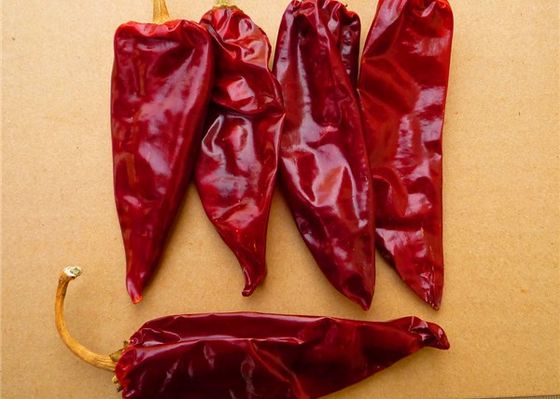 Yidu secado Chili With Stem Grade A secó las vainas rojas de Chile