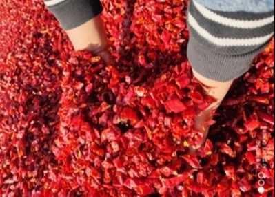 Tianjin secó los chiles rojos forma escamas 3m m secó los chiles machacados HACCP